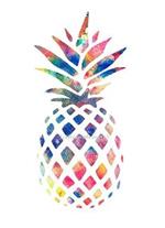 pineapple 